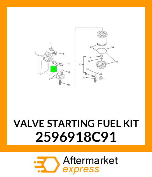 VALVE STARTING FUEL KIT 2596918C91