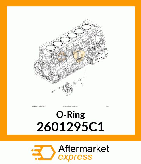 O-Ring 2601295C1