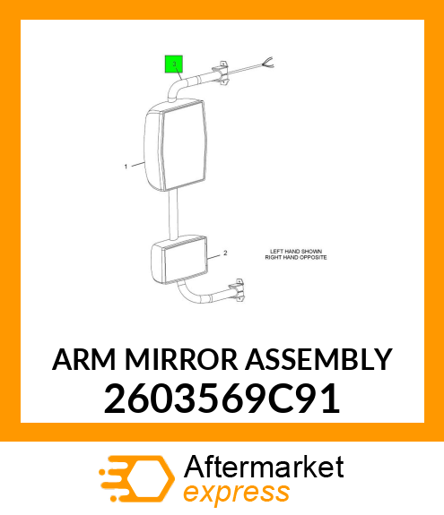 ARM MIRROR ASSEMBLY 2603569C91