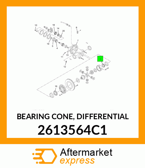 BEARING CONE, DIFFERENTIAL 2613564C1