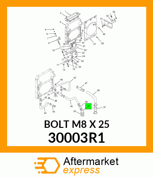 BOLT M8 X 25 30003R1