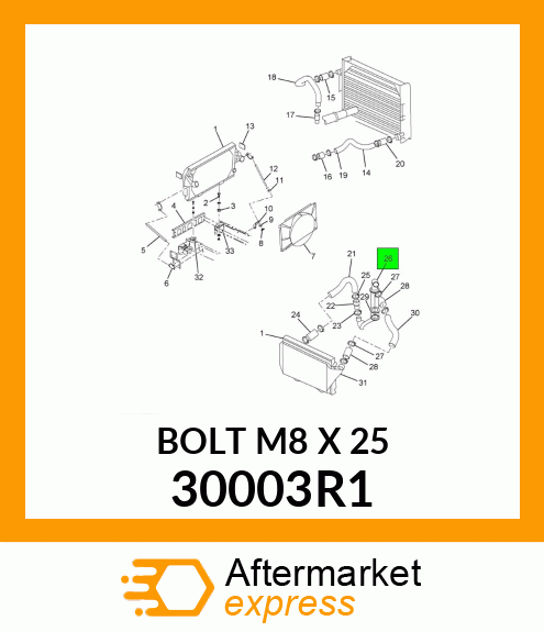 BOLT M8 X 25 30003R1