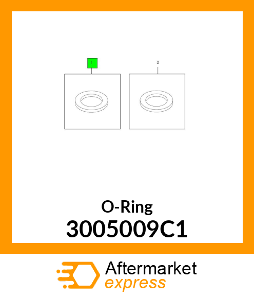 O-Ring 3005009C1