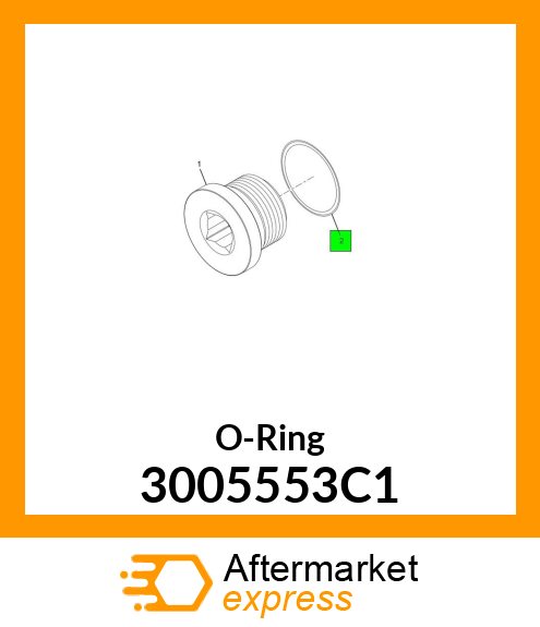 O-Ring 3005553C1
