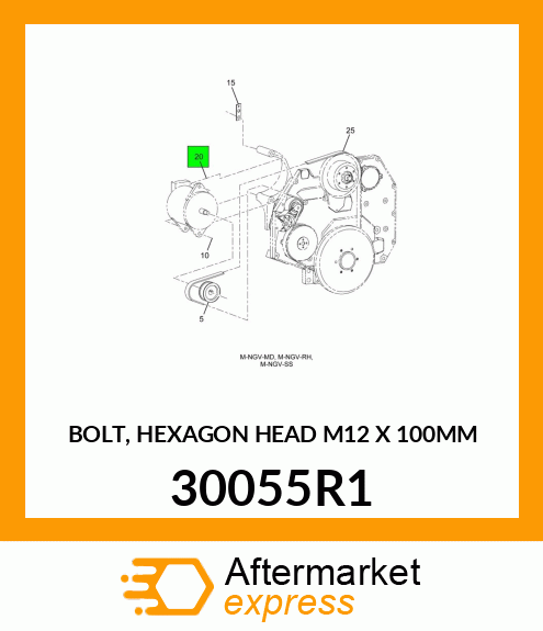 BOLT, HEXAGON HEAD M12 X 100MM 30055R1