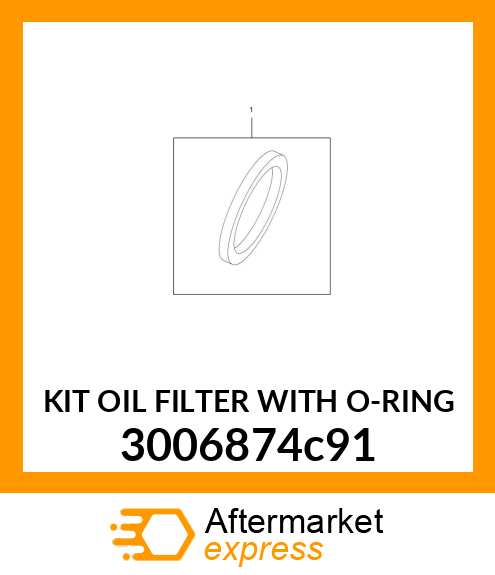 KIT OIL FILTER WITH O-RING 3006874c91