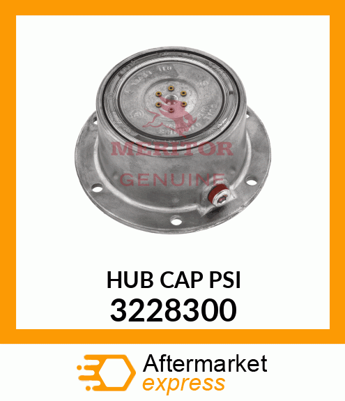 HUB CAP PSI 3228300