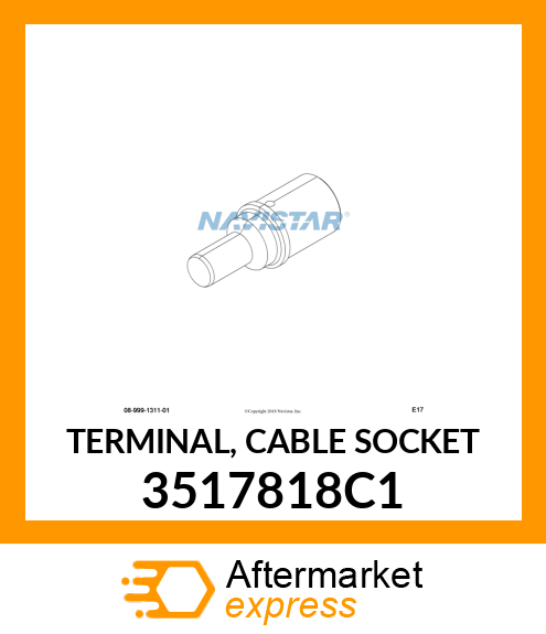 TERMINAL, CABLE SOCKET 3517818C1