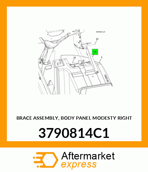 BRACE ASSEMBLY, BODY PANEL MODESTY RIGHT 3790814C1