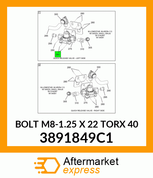 BOLT M8-1.25 X 22 TORX 40 3891849C1