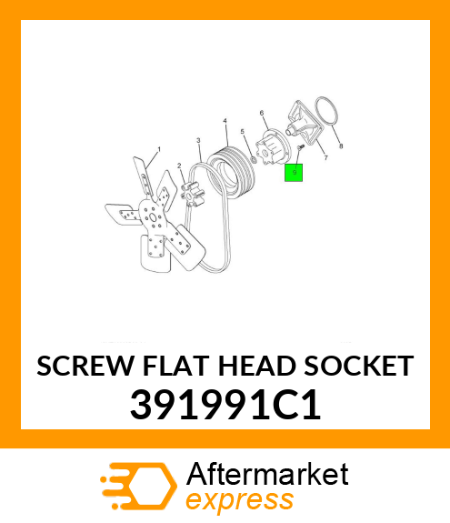 SCREW FLAT HEAD SOCKET 391991C1