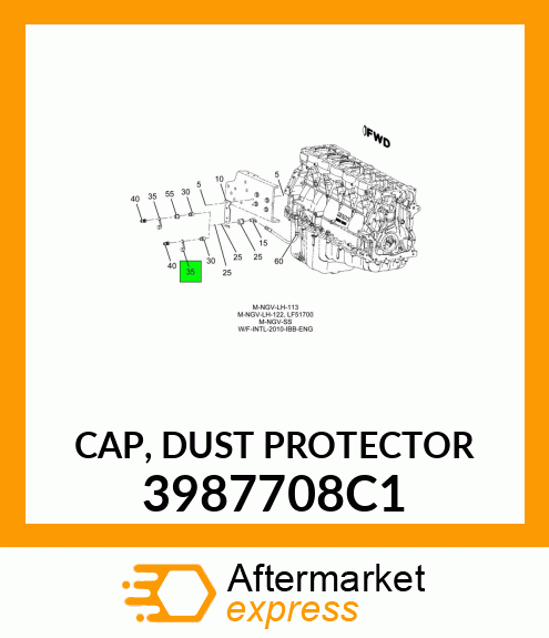 CAP, DUST PROTECTOR 3987708C1