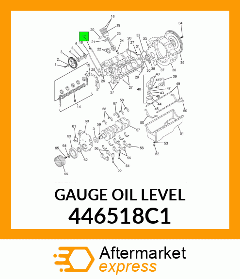 GAUGE OIL LEVEL 446518C1