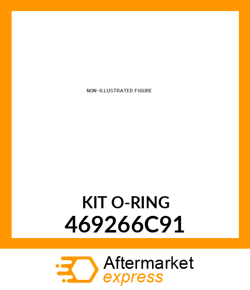 KIT O-RING 469266C91