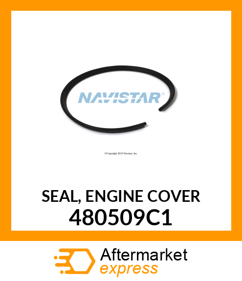 SEAL, ENGINE COVER 480509C1