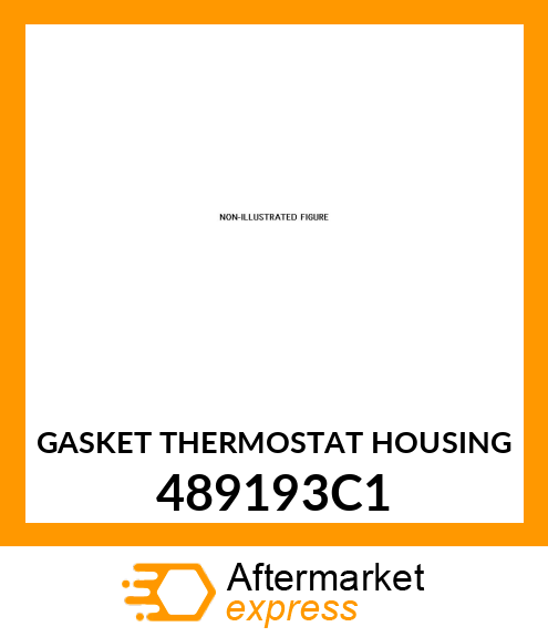 GASKET THERMOSTAT HOUSING 489193C1