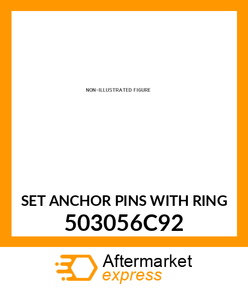 SET ANCHOR PINS WITH RING 503056C92