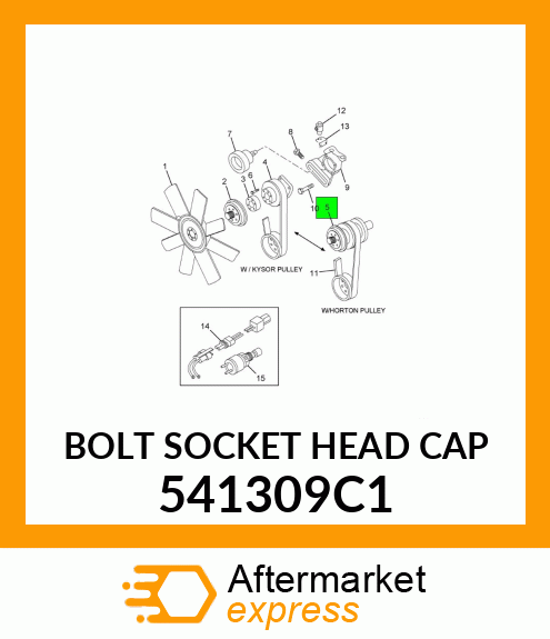 BOLT SOCKET HEAD CAP 541309C1