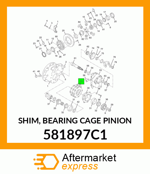 SHIM, BEARING CAGE PINION 581897C1