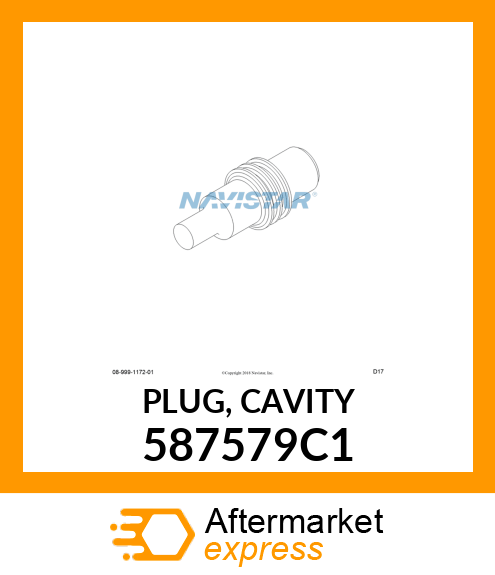 PLUG, CAVITY 587579C1