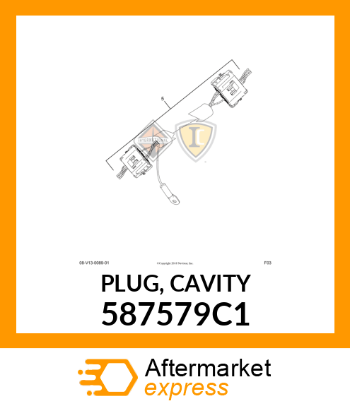 PLUG, CAVITY 587579C1