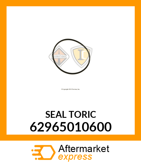 SEAL TORIC 62965010600