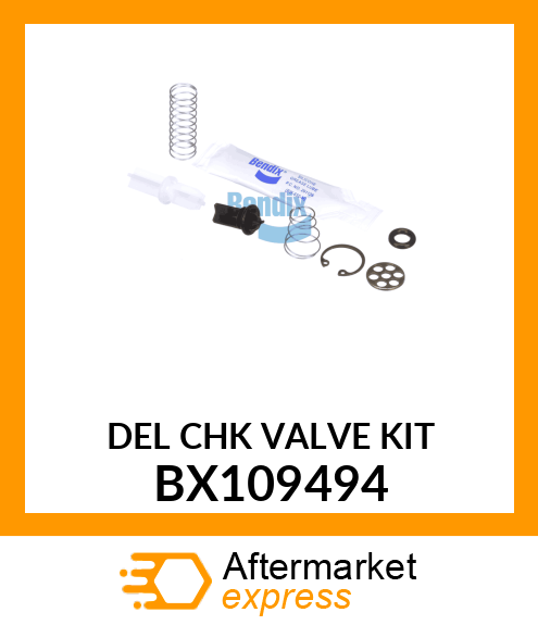 DEL CHK VALVE KIT BX109494