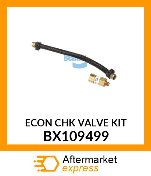 ECON CHK VALVE KIT BX109499