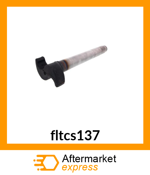 fltcs137