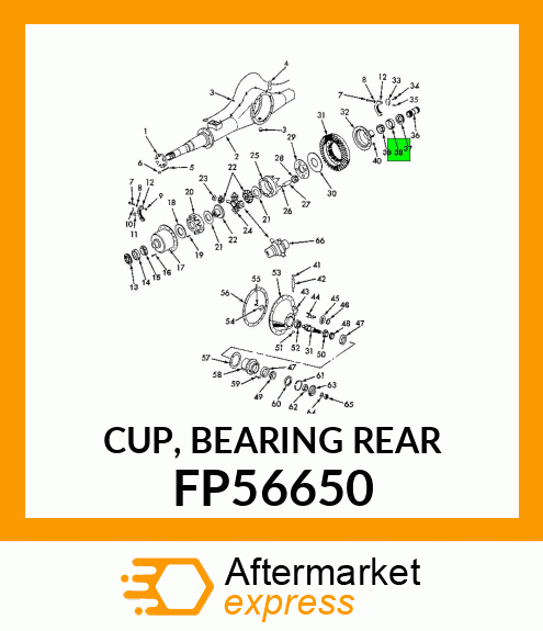 CUP, BEARING REAR FP56650