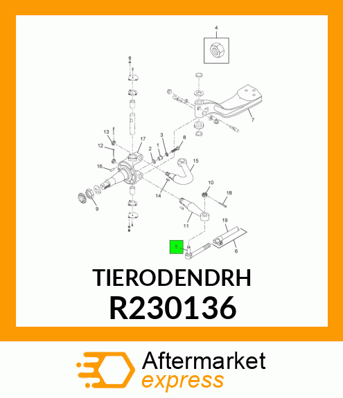 TIERODENDRH R230136