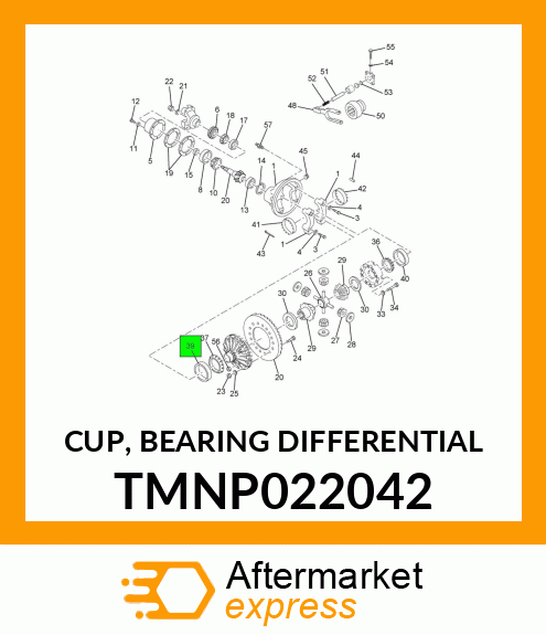 CUP, BEARING DIFFERENTIAL TMNP022042