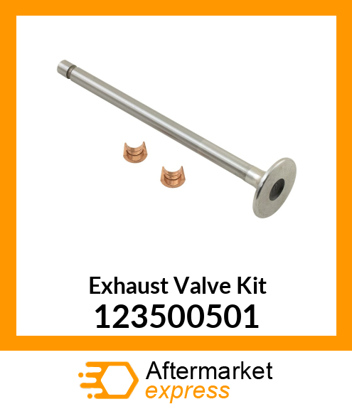 Exhaust Valve Kit 123500501