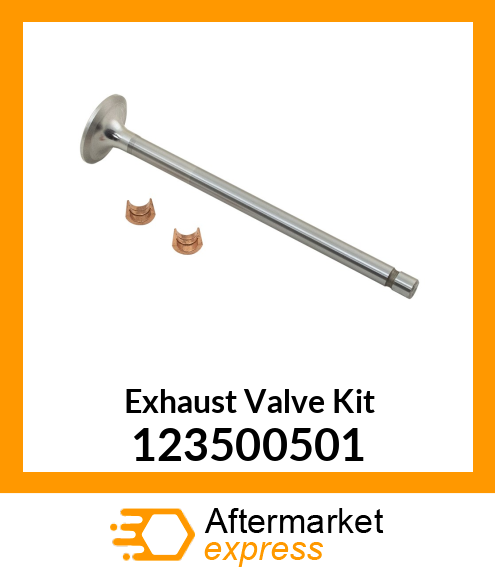 Exhaust Valve Kit 123500501