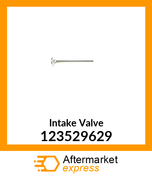 Intake Valve 123529629