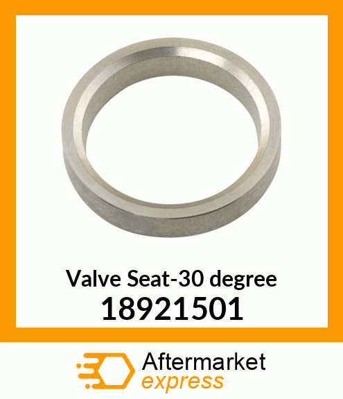 Valve Seat-30 degree 18921501