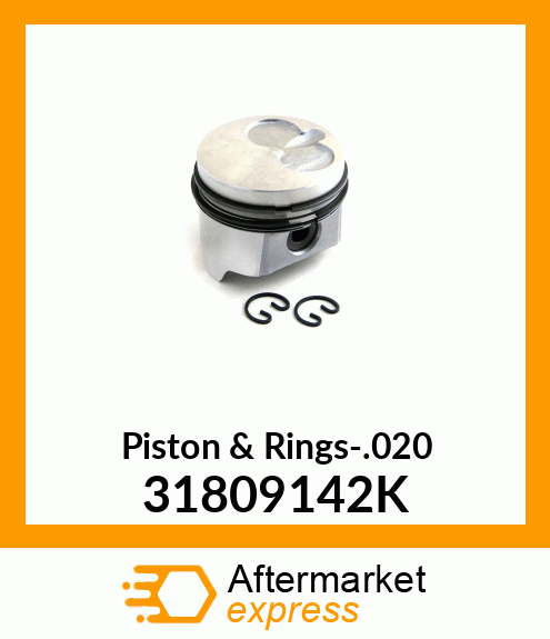 Piston & Rings-.020 31809142K