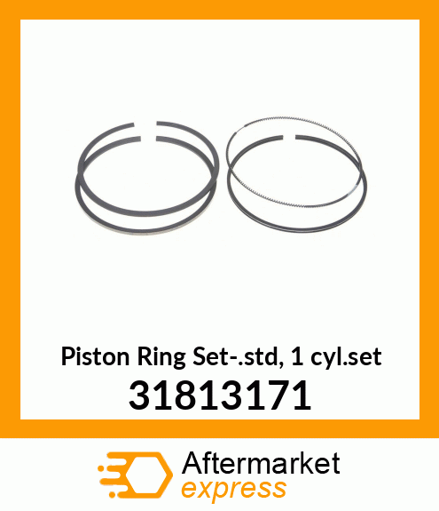 Piston Ring Set-.std, 1 cyl.set 31813171