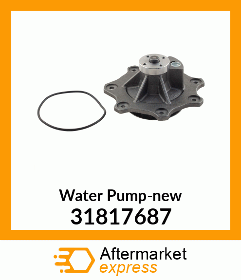 Water Pump-new 31817687