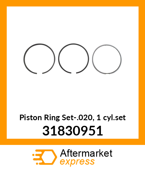 Piston Ring Set-.020, 1 cyl.set 31830951