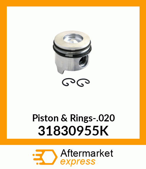 Piston & Rings-.020 31830955K