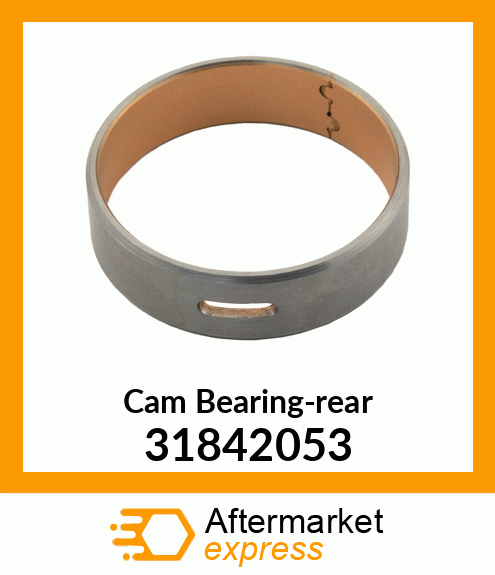 Cam Bearing-rear 31842053