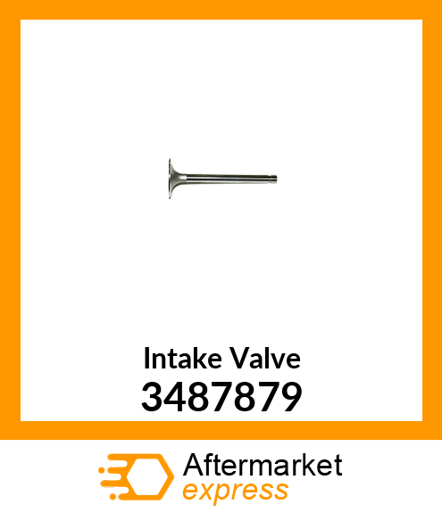 Intake Valve 3487879