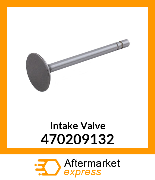 Intake Valve 470209132