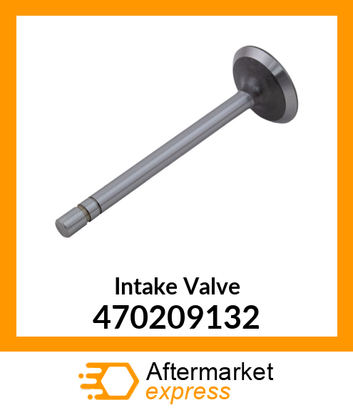 Intake Valve 470209132