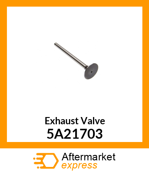 Exhaust Valve 5A21703