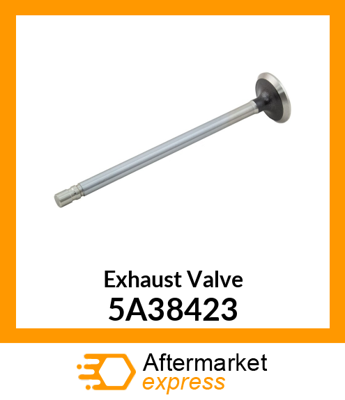 Exhaust Valve 5A38423