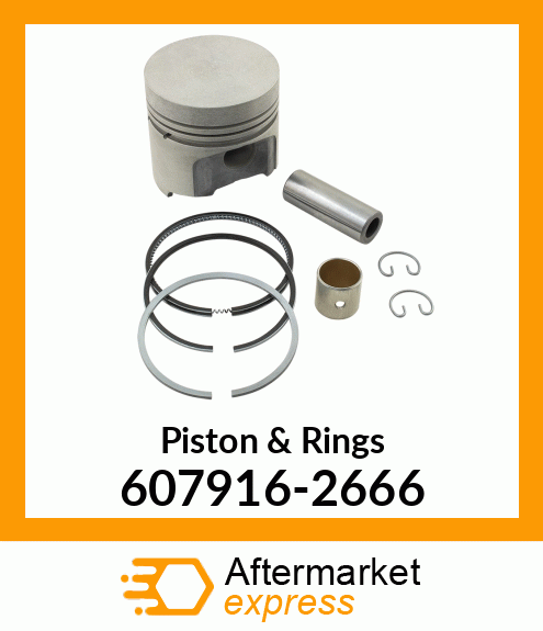 Piston & Rings 607916-2666