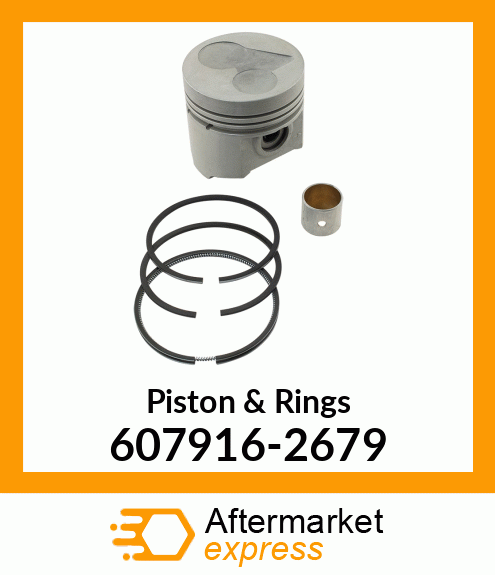 Piston & Rings 607916-2679