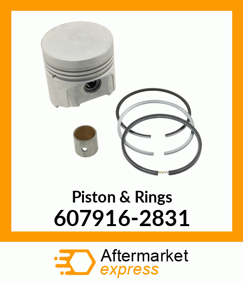 Piston & Rings 607916-2831